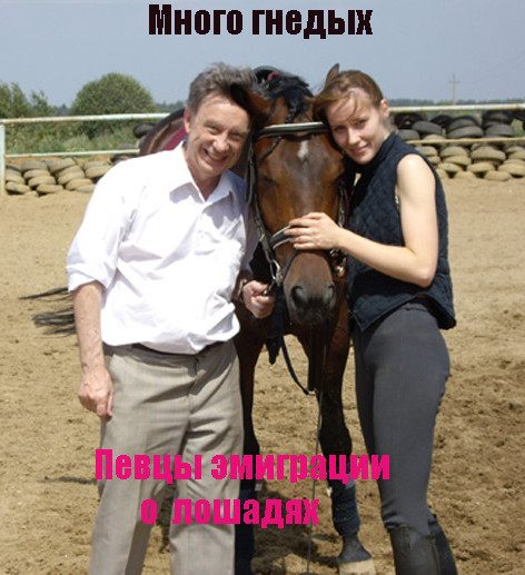 Много гнедых-русская эмиграция-тема о лошадях от НИКа М